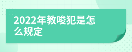 2022年教唆犯是怎么规定