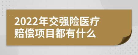 2022年交强险医疗赔偿项目都有什么