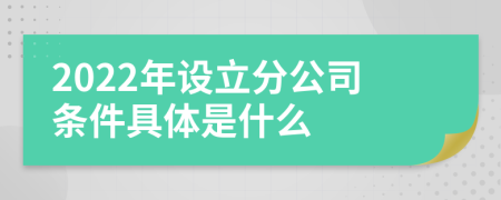 2022年设立分公司条件具体是什么