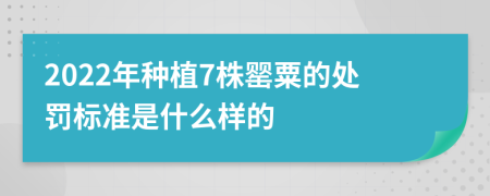 2022年种植7株罂粟的处罚标准是什么样的