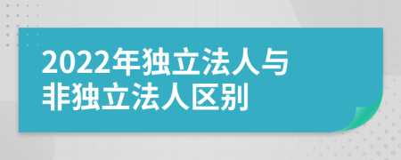 2022年独立法人与非独立法人区别