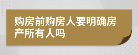 购房前购房人要明确房产所有人吗