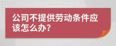 公司不提供劳动条件应该怎么办？
