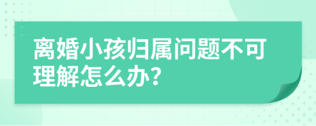 离婚小孩归属问题不可理解怎么办？