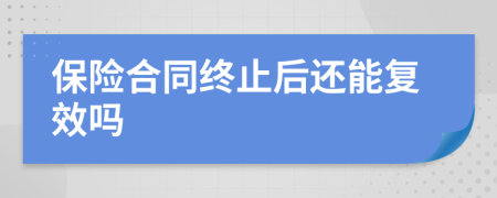 保险合同终止后还能复效吗