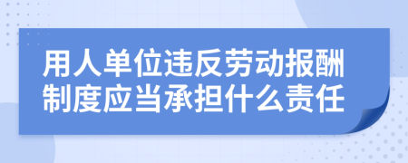 用人单位违反劳动报酬制度应当承担什么责任