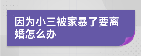 因为小三被家暴了要离婚怎么办