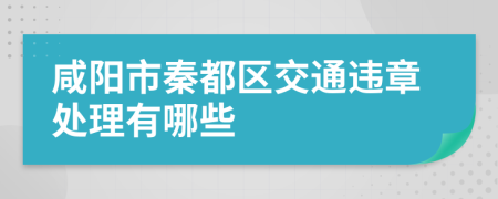 咸阳市秦都区交通违章处理有哪些