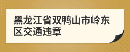 黑龙江省双鸭山市岭东区交通违章