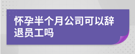 怀孕半个月公司可以辞退员工吗