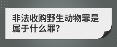 非法收购野生动物罪是属于什么罪？