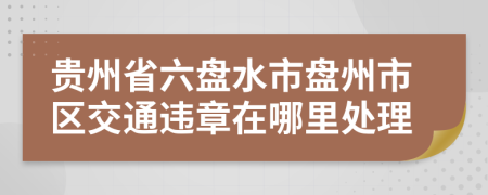 贵州省六盘水市盘州市区交通违章在哪里处理