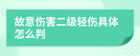 故意伤害二级轻伤具体怎么判