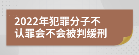 2022年犯罪分子不认罪会不会被判缓刑