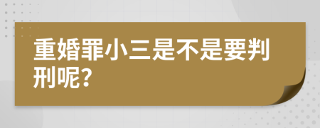 重婚罪小三是不是要判刑呢？