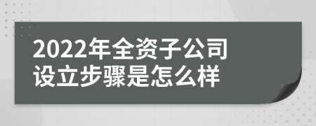 2022年全资子公司设立步骤是怎么样