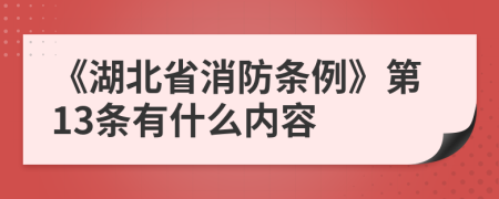 《湖北省消防条例》第13条有什么内容