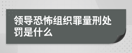 领导恐怖组织罪量刑处罚是什么