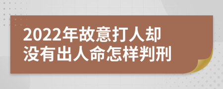 2022年故意打人却没有出人命怎样判刑