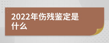 2022年伤残鉴定是什么