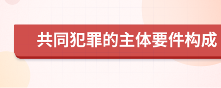 共同犯罪的主体要件构成