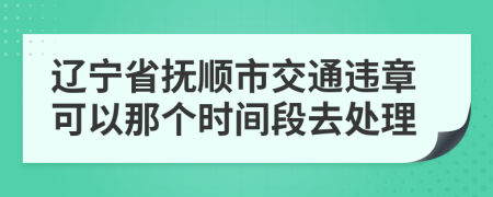辽宁省抚顺市交通违章可以那个时间段去处理