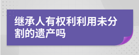 继承人有权利利用未分割的遗产吗