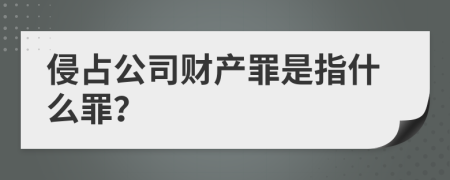 侵占公司财产罪是指什么罪？