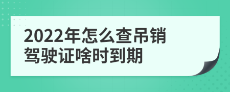 2022年怎么查吊销驾驶证啥时到期