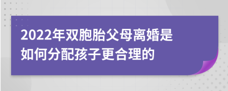 2022年双胞胎父母离婚是如何分配孩子更合理的