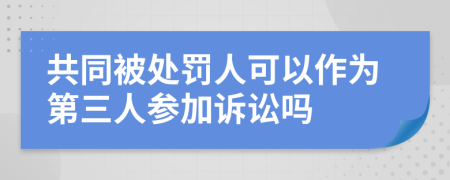 共同被处罚人可以作为第三人参加诉讼吗