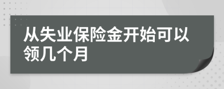 从失业保险金开始可以领几个月