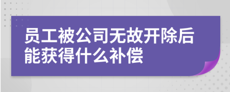员工被公司无故开除后能获得什么补偿