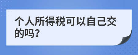 个人所得税可以自己交的吗？