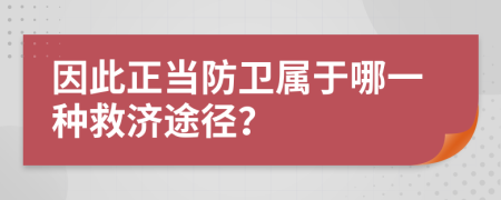 因此正当防卫属于哪一种救济途径？