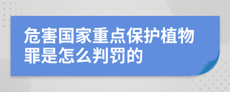 危害国家重点保护植物罪是怎么判罚的