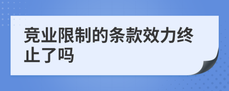 竞业限制的条款效力终止了吗