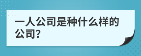 一人公司是种什么样的公司？
