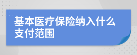 基本医疗保险纳入什么支付范围