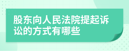 股东向人民法院提起诉讼的方式有哪些