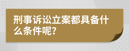 刑事诉讼立案都具备什么条件呢？