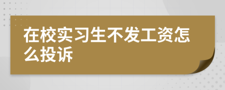 在校实习生不发工资怎么投诉