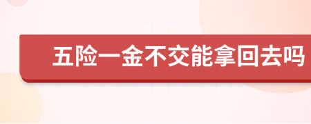 五险一金不交能拿回去吗