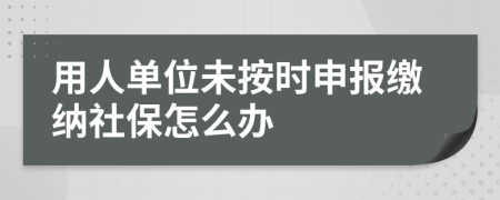 用人单位未按时申报缴纳社保怎么办