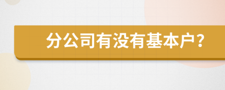 分公司有没有基本户？