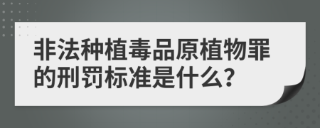 非法种植毒品原植物罪的刑罚标准是什么？