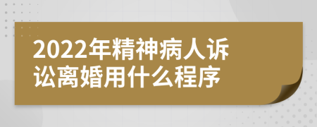 2022年精神病人诉讼离婚用什么程序