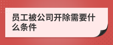 员工被公司开除需要什么条件