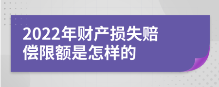 2022年财产损失赔偿限额是怎样的