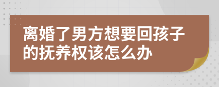 离婚了男方想要回孩子的抚养权该怎么办